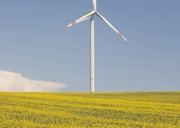 white wind turbine on yellow flower field under blue sky during daytime