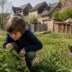 Un enfant observe attentivement un papillon paon-du-jour posé sur une fleur, au milieu d'un chemin bordé de maisons et de verdure